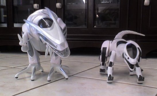 Raptor and Reptile Together